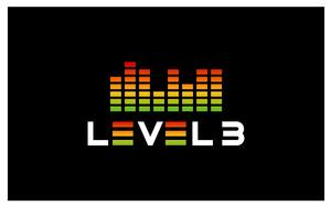 Level 3
