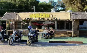 Tarzan's Jungle Bar