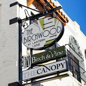 Birchwood * The Canopy * Birch & Vine