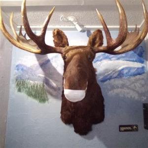 Moose Lodge #2366 West Pasco