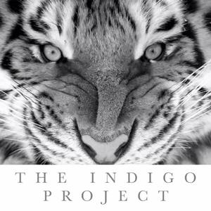 Indigo Project