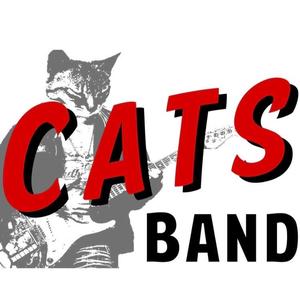 The Cats Band