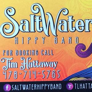Saltwater Hippy Band