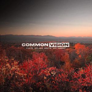 Common Vision