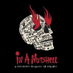 In A Nutshell-Tribute To Alice In Chains