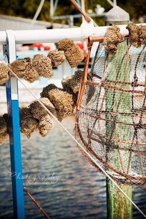 Tarpon Springs Sponge Docks