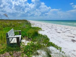 Honeymoon Island State Park