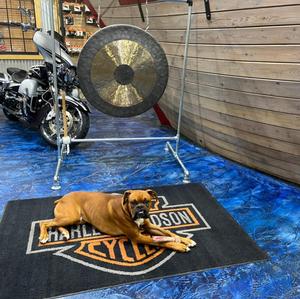 Treasure Coast Harley Davidson