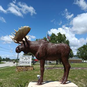 Spring Hill Moose Lodge #521