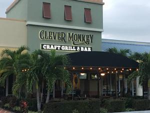 The Clever Monkey