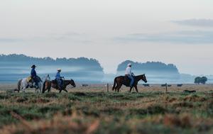 Center Ring Ranch