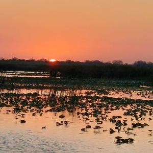 Brahma Bull Bar & Grill